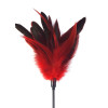 Лоскітка червона Art of Sex - Feather Paddle, перо молодого півня