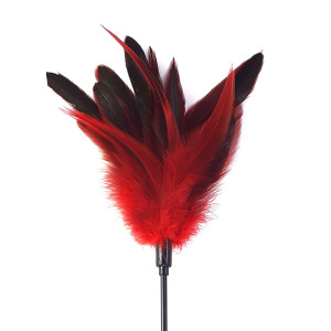 Лоскітка червона Art of Sex - Feather Paddle, перо молодого півня. Photo 2