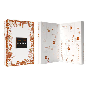 Календар секс-сюрпризів Adrien Lastic Advent Calendar 2022 CHRISTMAS DESIRES, 24 подарунки. Photo 3