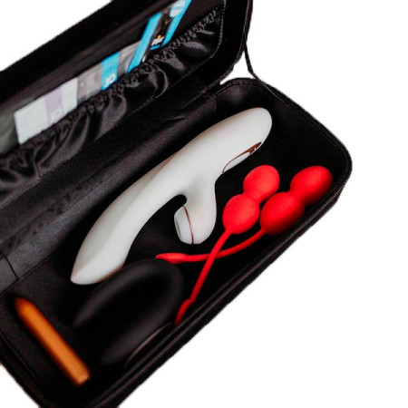 Бокс для зберігання інтимних іграшок та аксесуарів Love To Love SECRET BOX V2