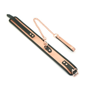 Нашийник з повідцем Liebe Seele Rose Gold Memory Collar with Leash. Photo 2