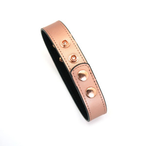 Нашийник із затискачами для сосків Liebe Seele Rose Gold Memory Collar with Nipple Clamps. Photo 3